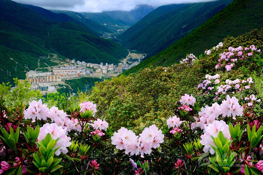 康定情歌風景區(qū)春光惹人醉