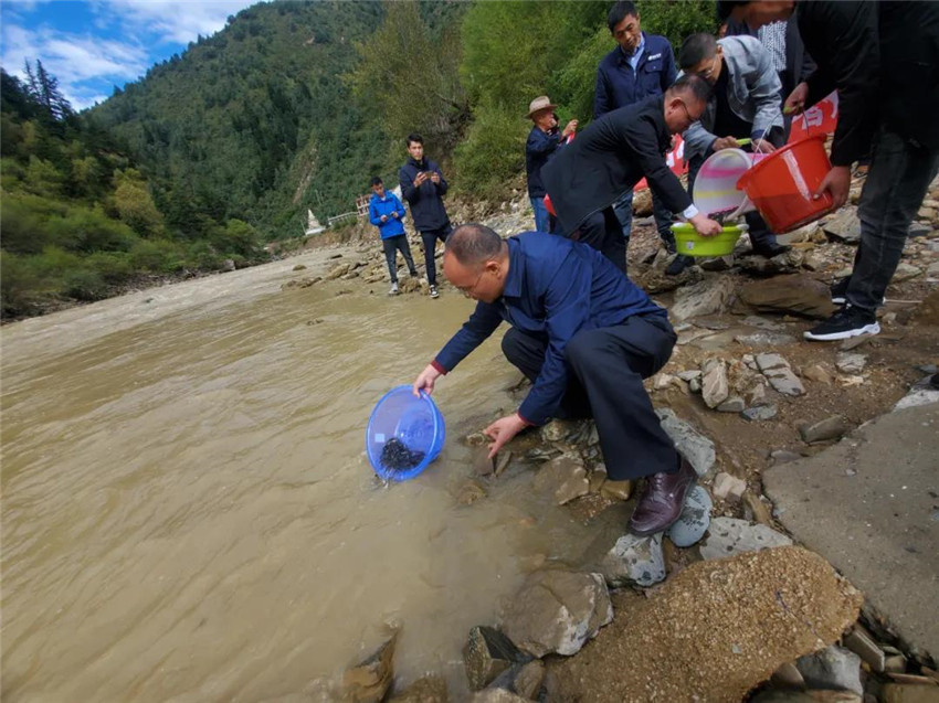 圖為放流現(xiàn).jpg