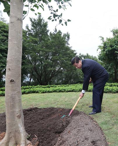 2012年12月7日至11日，習近平在廣東省考察工作。這是8日上午，習近平在深圳蓮花山公園種下一棵高山榕樹。新華社記者 蘭紅光 攝